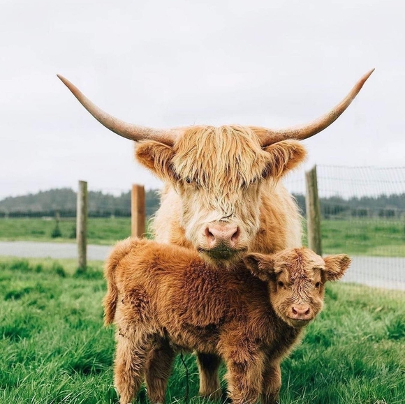 Meet your Posher, Monica - Picture 11 of 16